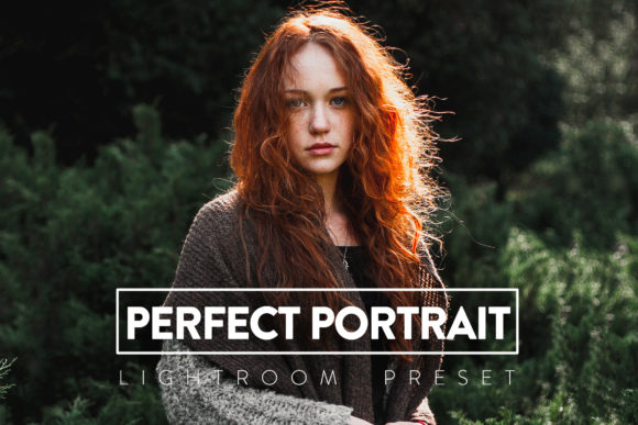 Download 10 Perfect Portrait Lightroom Preset - Perfect Collection